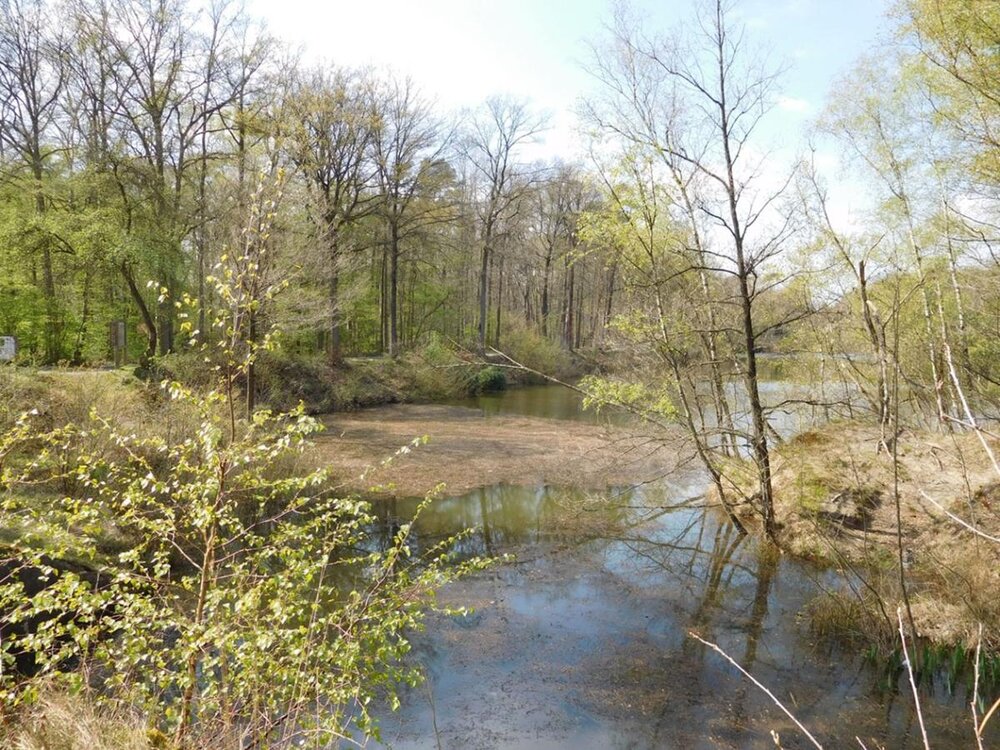 Fort van Brasschaat, antitankgracht