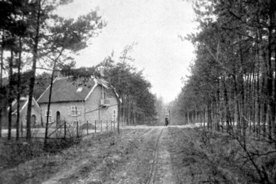 Cafe Oud Antwerpen 1