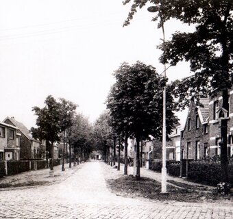 De nieuwe Tuinwijk 1