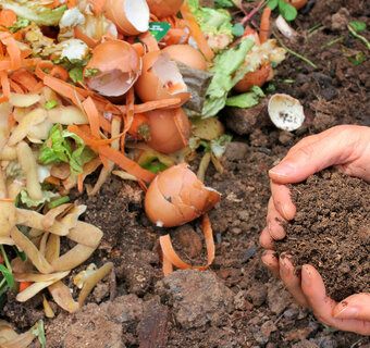 compost