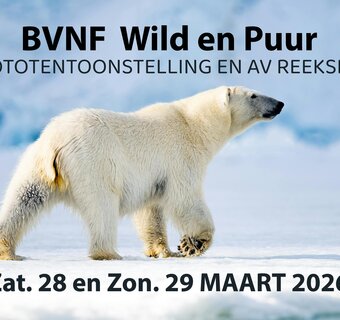 Bond Verantwoorde Natuurfotografie