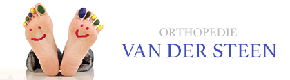 Van der Steen logo