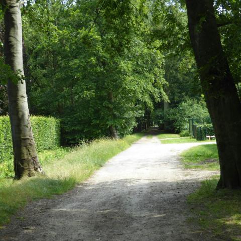 Wandelzoektocht DE LUSTIGE SPEURDERS © VDB