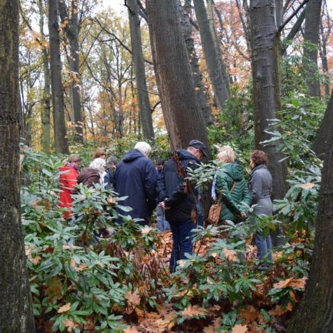 MINDFUL WANDELEN maandag 12u45-13u45 (najaar24) © sport plus vzw